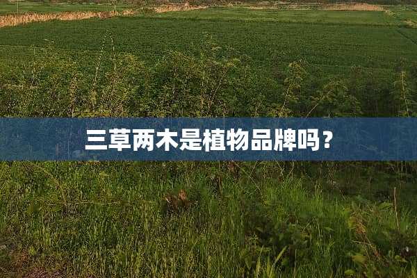 三草两木是植物品牌吗？