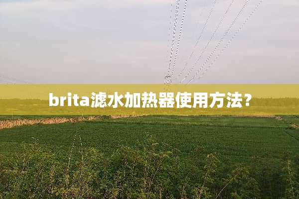 brita滤水加热器使用方法？