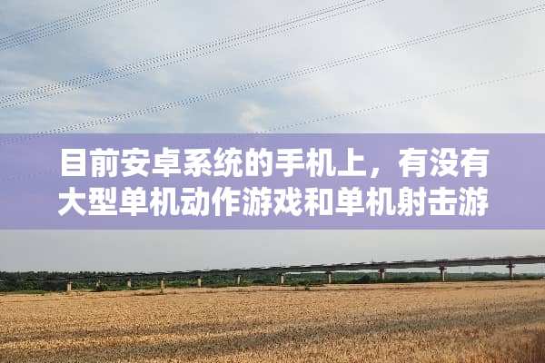 目前安卓系统的手机上，有没有大型单机动作游戏和单机射击游戏大作呢？