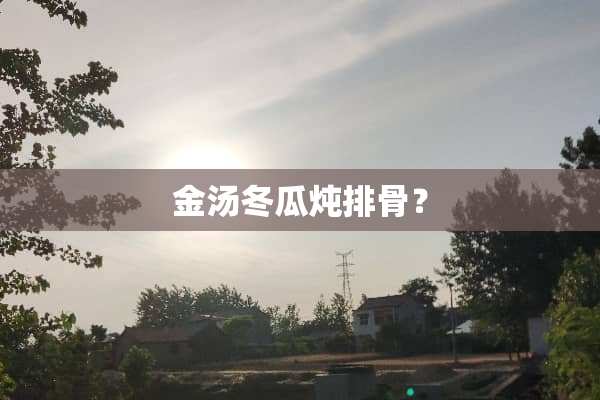 金汤冬瓜炖排骨？