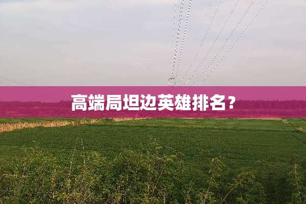 高端局坦边英雄排名？