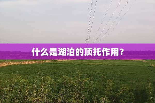 什么是湖泊的顶托作用？