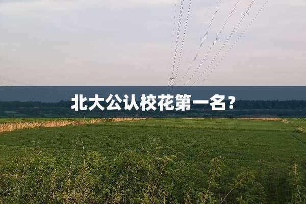 北大公认校花第一名？