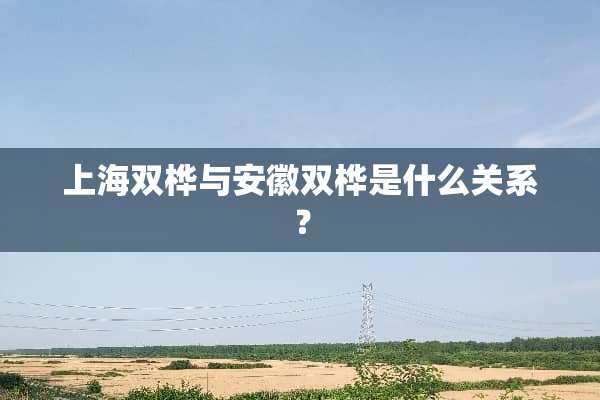 上海双桦与安徽双桦是什么关系？