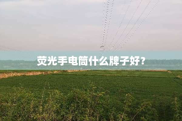 荧光手电筒什么牌子好？