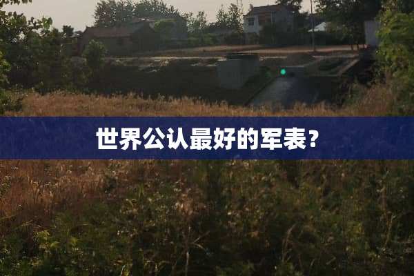 世界公认最好的军表？