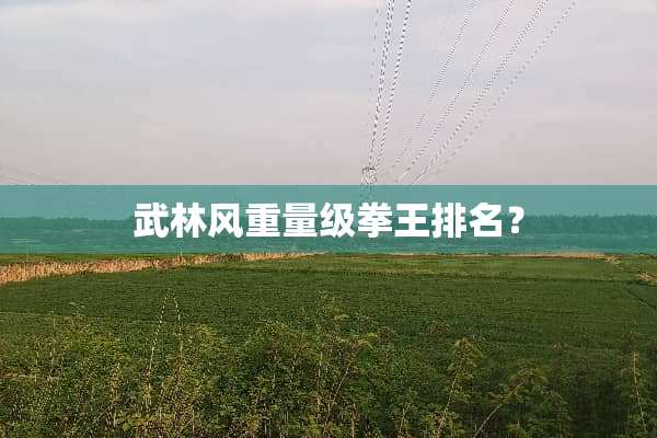 武林风重量级拳王排名？