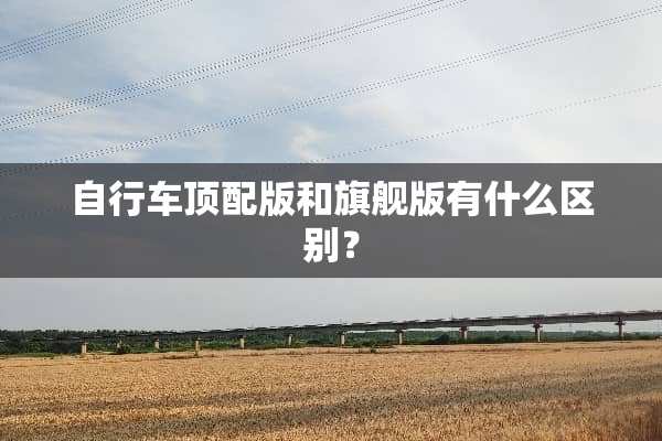 自行车顶配版和旗舰版有什么区别？