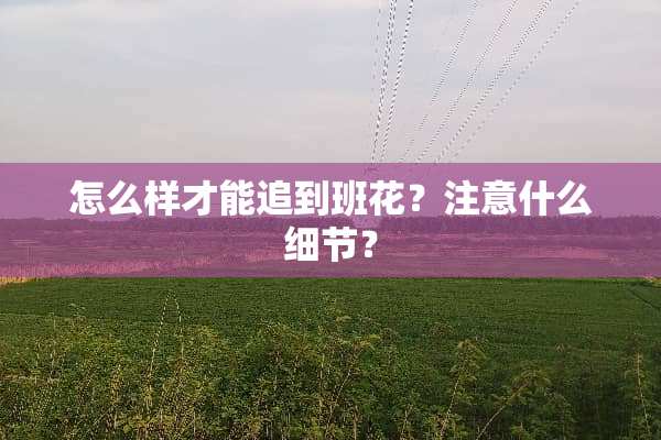 怎么样才能追到班花？注意什么细节？