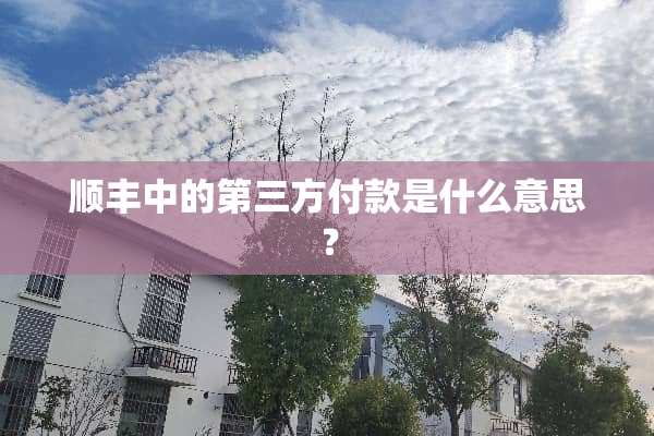 顺丰中的第三方付款是什么意思？