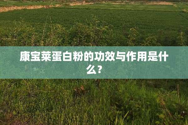 康宝莱蛋**的功效与作用是什么？