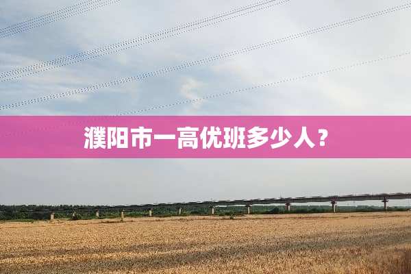 濮阳市一高优班多少人？
