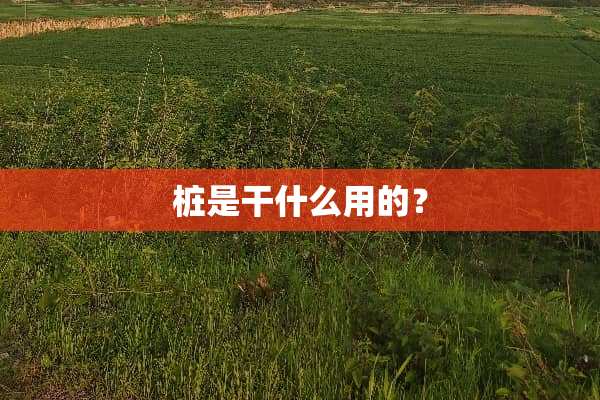 桩是干什么用的？