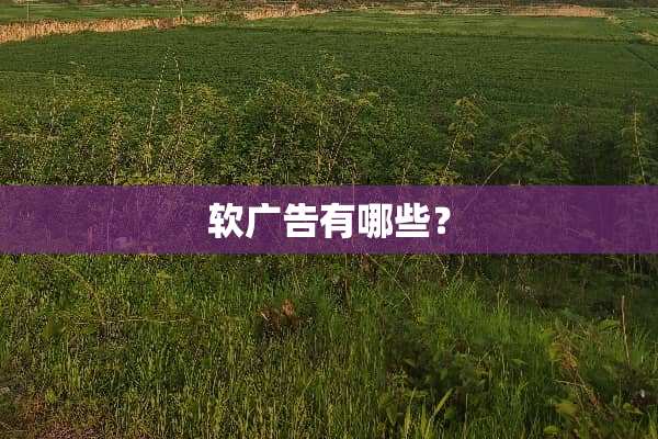 软广告有哪些？
