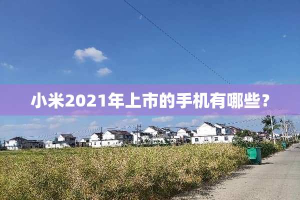 小米2021年上市的手机有哪些？