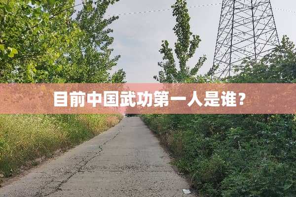 目前中国武功第一人是谁？