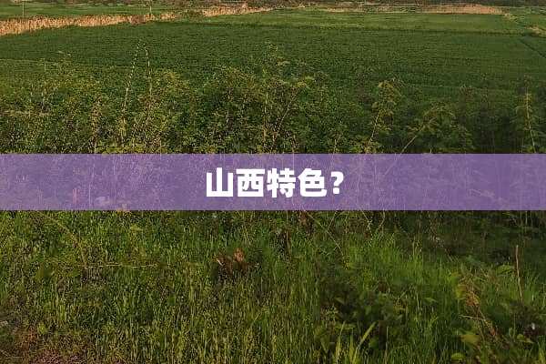 山西特色？