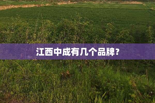 江西中成有几个品牌？