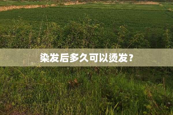 染发后多久可以烫发？