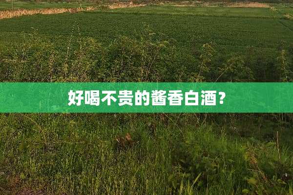 好喝不贵的酱香白酒？