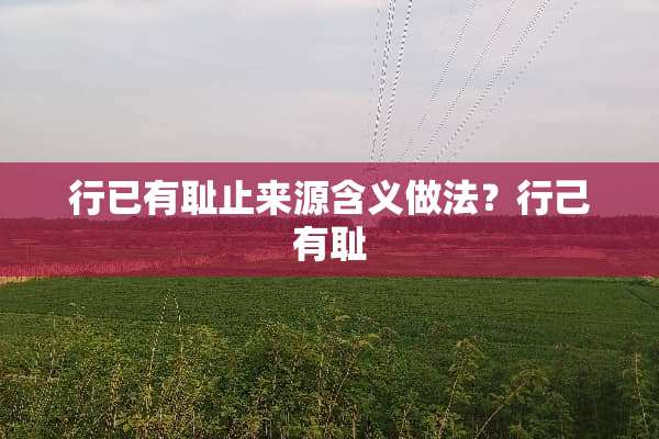 行已有耻止来源含义做法？行己有耻