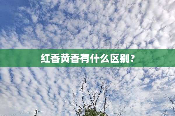 红香黄香有什么区别？