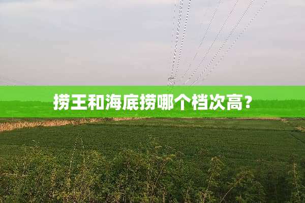 捞王和海底捞哪个档次高？
