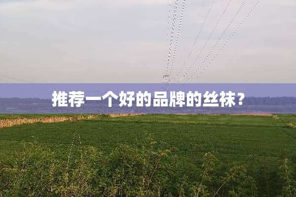 推荐一个好的品牌的**？