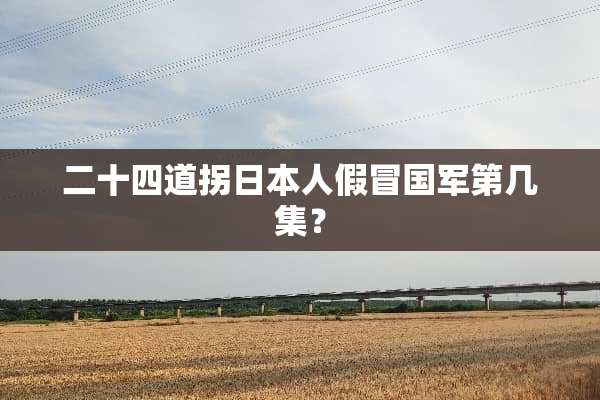 二十四道拐日本人假冒**第几集？