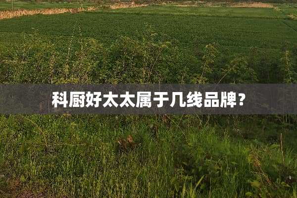 科厨好太太属于几线品牌？