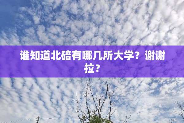 谁知道北碚有哪几所大学？谢谢拉？