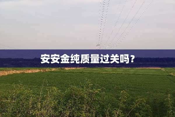安安金纯质量过关吗？