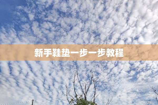 新手鞋垫一步一步教程