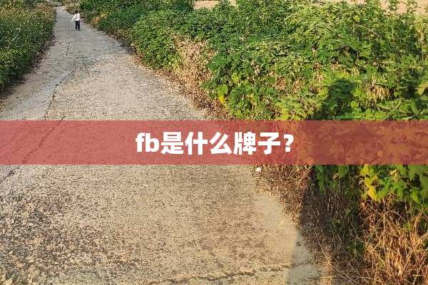 fb是什么牌子？