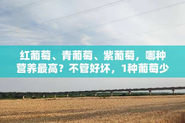 红葡萄、青葡萄、紫葡萄，哪种营养最高？不管好坏，1种葡萄少吃？