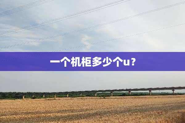 一个机柜多少个u？