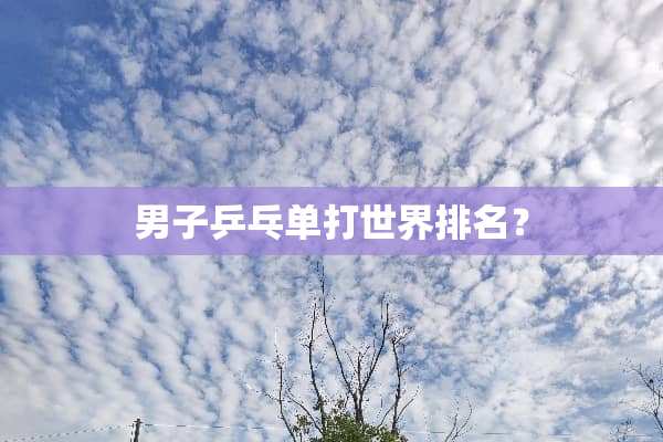男子乒乓单打世界排名？