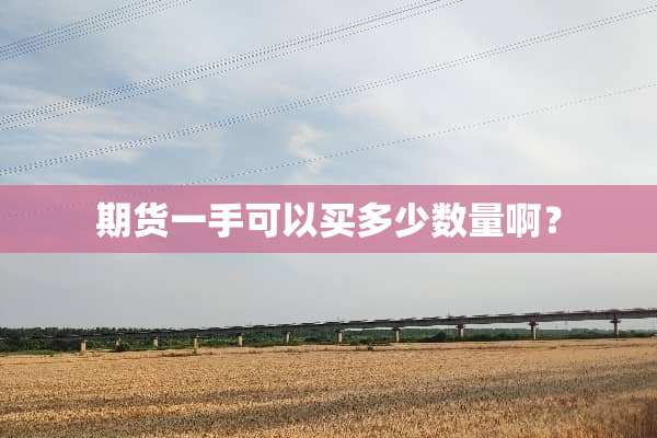 期货一手可以买多少数量啊？