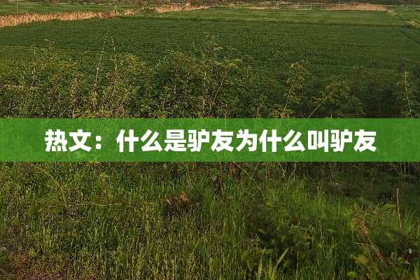 热文：什么是驴友为什么叫驴友