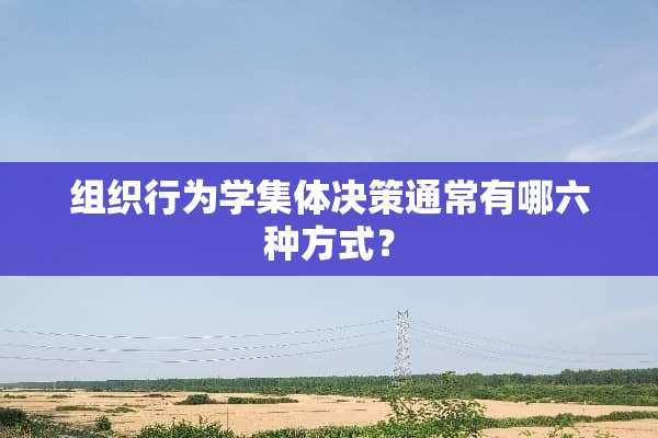 组织行为学集体决策通常有哪六种方式？