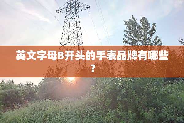 英文字母B开头的手表品牌有哪些？