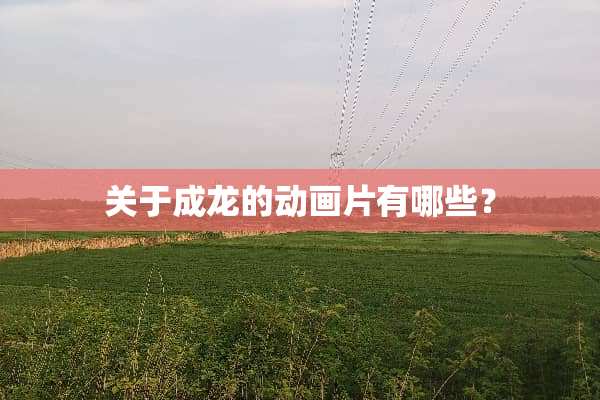 关于成龙的动画片有哪些？