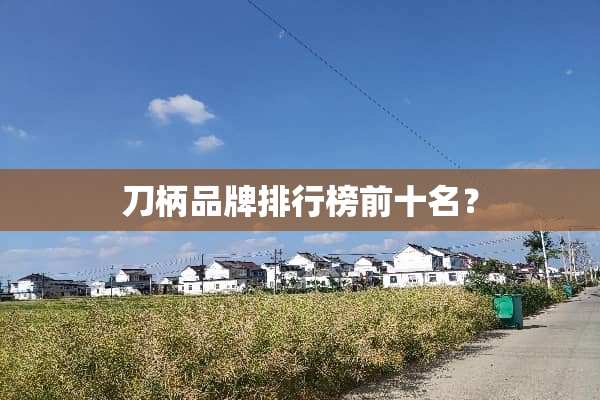 刀柄品牌排行榜前十名？
