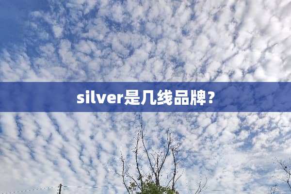 silver是几线品牌？