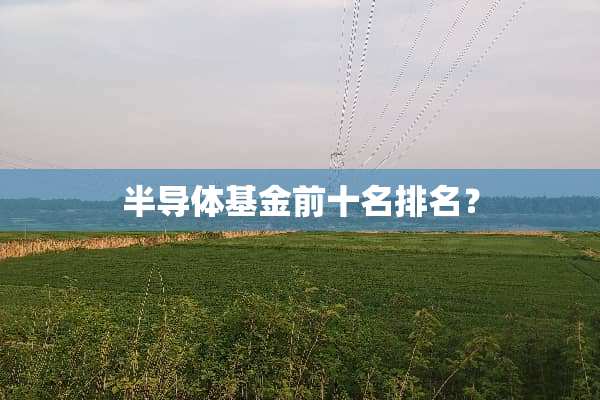 半导体基金前十名排名？