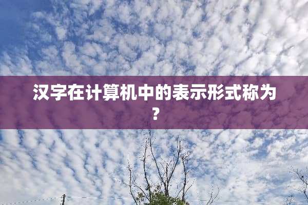 汉字在计算机中的表示形式称为？