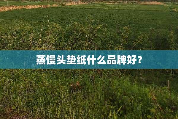 蒸馒头垫纸什么品牌好？