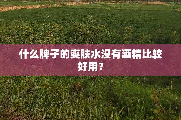 什么牌子的爽肤水没有酒精比较好用？