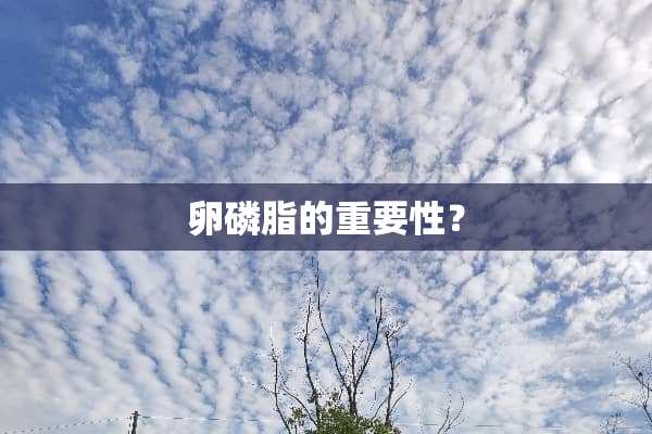卵磷脂的重要性？