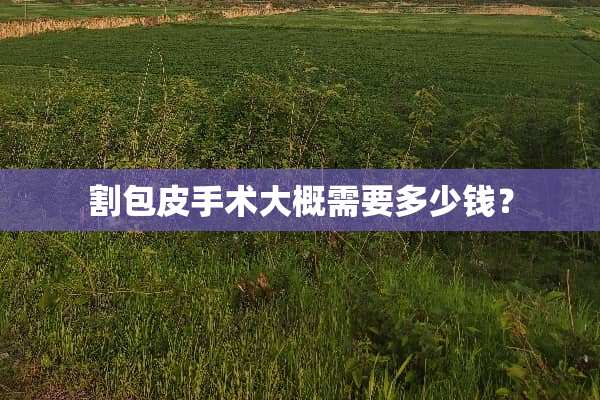 割包皮手术大概需要多少钱？